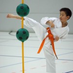 2. Wien-Tag des Karate Landesverbandes