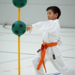 2. Wien-Tag des Karate Landesverbandes