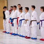 2. Wien-Tag des Karate Landesverbandes