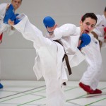 2. Wien-Tag des Karate Landesverbandes