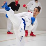 2. Wien-Tag des Karate Landesverbandes