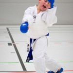 2. Wien-Tag des Karate Landesverbandes