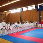 des "Shiai Karate Do" Vereins Wien