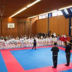 des "Shiai Karate Do" Vereins Wien