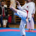 des "Shiai Karate Do" Vereins Wien