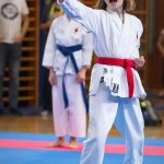 des "Shiai Karate Do" Vereins Wien