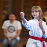 des "Shiai Karate Do" Vereins Wien