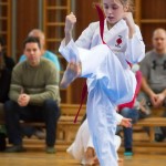 des "Shiai Karate Do" Vereins Wien