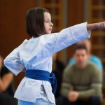 des "Shiai Karate Do" Vereins Wien