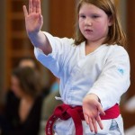 des "Shiai Karate Do" Vereins Wien