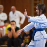 des "Shiai Karate Do" Vereins Wien