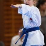 des "Shiai Karate Do" Vereins Wien