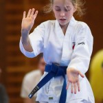 des "Shiai Karate Do" Vereins Wien