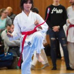 des "Shiai Karate Do" Vereins Wien