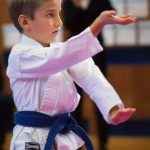 des "Shiai Karate Do" Vereins Wien