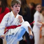 des "Shiai Karate Do" Vereins Wien