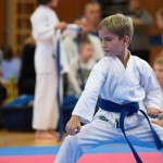 des "Shiai Karate Do" Vereins Wien