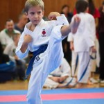 des "Shiai Karate Do" Vereins Wien