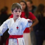 des "Shiai Karate Do" Vereins Wien