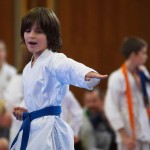 des "Shiai Karate Do" Vereins Wien