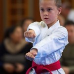 des "Shiai Karate Do" Vereins Wien