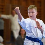 des "Shiai Karate Do" Vereins Wien