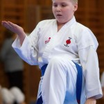 des "Shiai Karate Do" Vereins Wien