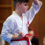 des "Shiai Karate Do" Vereins Wien