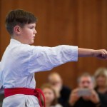 des "Shiai Karate Do" Vereins Wien