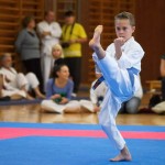 des "Shiai Karate Do" Vereins Wien