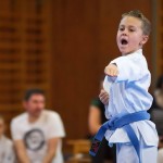 des "Shiai Karate Do" Vereins Wien