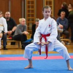 des "Shiai Karate Do" Vereins Wien