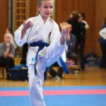 des "Shiai Karate Do" Vereins Wien