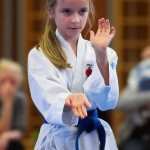 des "Shiai Karate Do" Vereins Wien