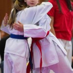 des "Shiai Karate Do" Vereins Wien