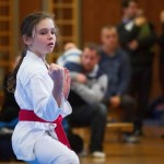 des "Shiai Karate Do" Vereins Wien