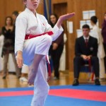 des "Shiai Karate Do" Vereins Wien