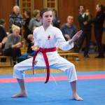 des "Shiai Karate Do" Vereins Wien