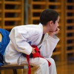 des "Shiai Karate Do" Vereins Wien