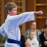 des "Shiai Karate Do" Vereins Wien