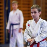 des "Shiai Karate Do" Vereins Wien