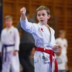 des "Shiai Karate Do" Vereins Wien