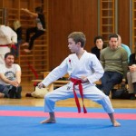 des "Shiai Karate Do" Vereins Wien