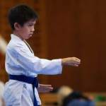 des "Shiai Karate Do" Vereins Wien