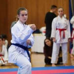 des "Shiai Karate Do" Vereins Wien