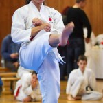 des "Shiai Karate Do" Vereins Wien