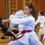 des "Shiai Karate Do" Vereins Wien