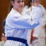 des "Shiai Karate Do" Vereins Wien