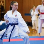 des "Shiai Karate Do" Vereins Wien