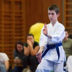 des "Shiai Karate Do" Vereins Wien